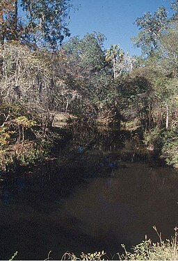 256px FlSteinhatcheeRise