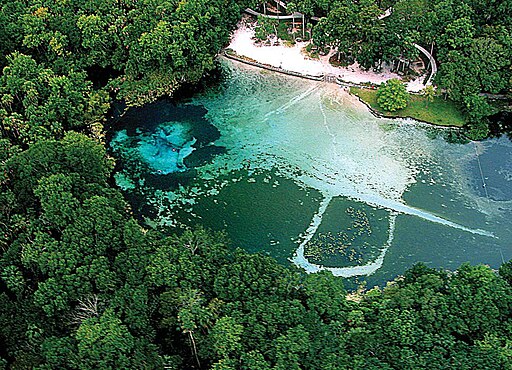 512px FlAlexanderSpring