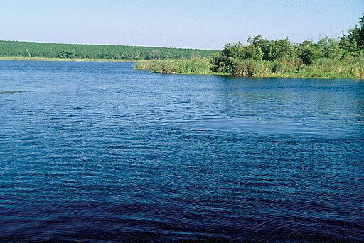 512px FlApopkaSpring