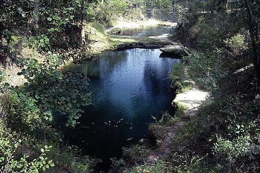 512px FlLafayetteBlueSpring