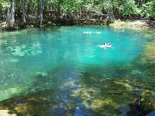 512px Manatee Springs State Park Florida springs05