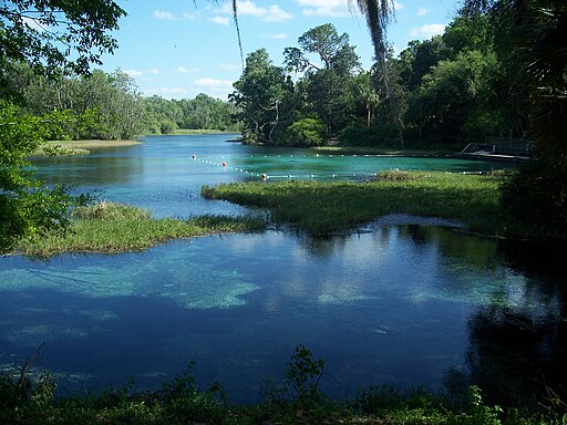 512px Rainbow Springs State Park river01 1