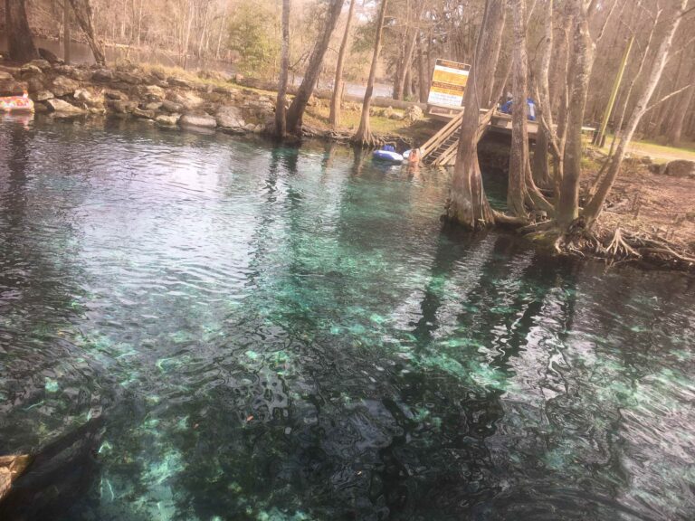 66638488260  BAFA706E 23E4 4F44 8565 6F498B616157 768x576