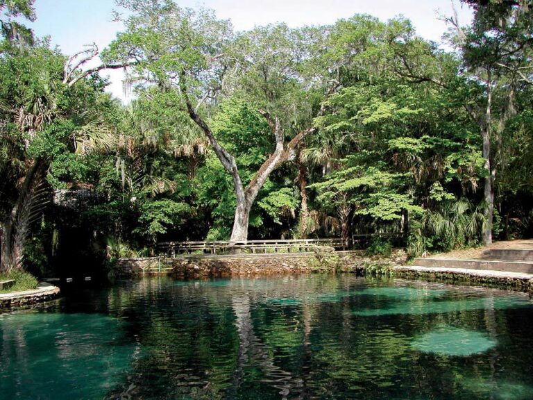 FlJuniperSprings 768x576