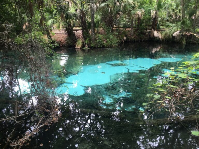 C2D58045 1F48 4B2A AEF0 9079259A8C4E zpsd1cmrsoe 768x576