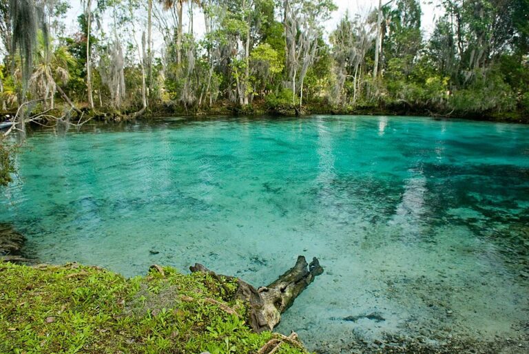 960px Three sisters springs near crystal river national wildlife refuge 768x514