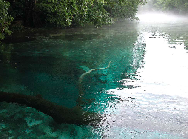 Cypress Spring