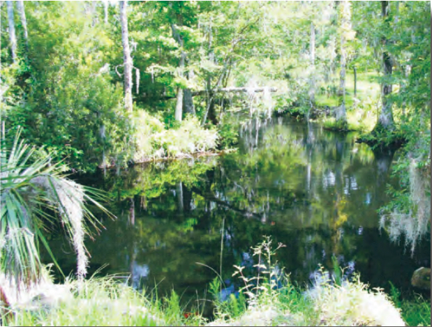 Fenney Spring
