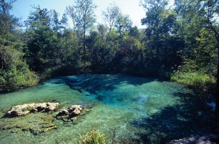 FlIchetuckneeSprings 768x507