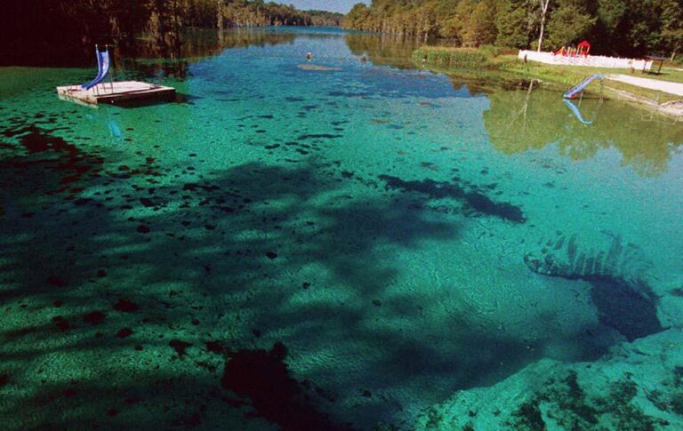 FlJacksonBlueSpring 768x485