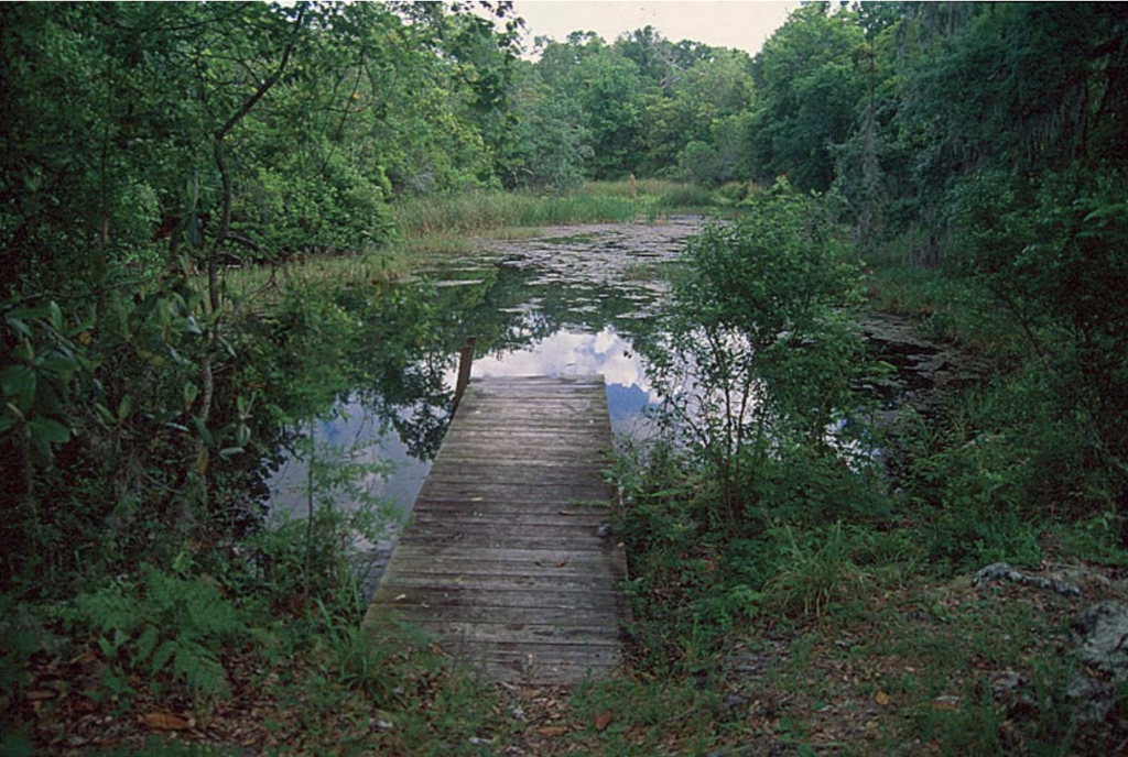 Rainbow River: Springs, Tubing, Kayaking & Access