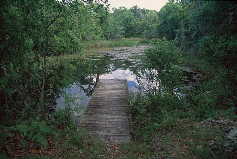 Gum Springs 768x516