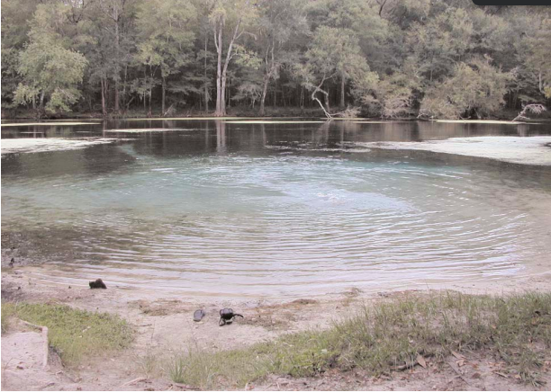 Rum Island Spring