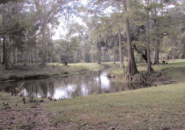 Wilson Spring
