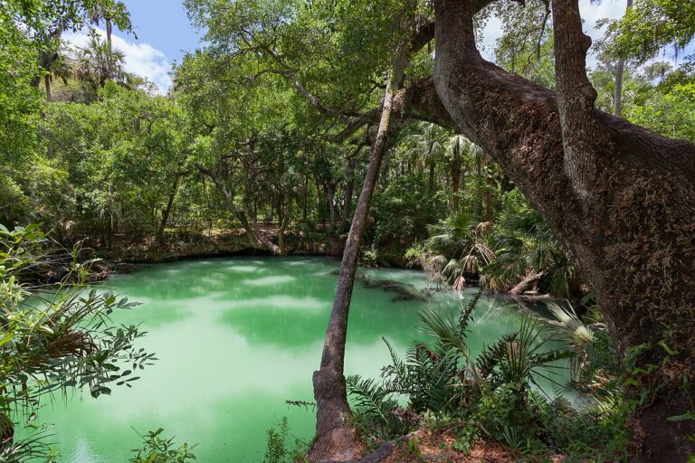1280px Green Springs from east bank looking west 2010.05.10 768x512
