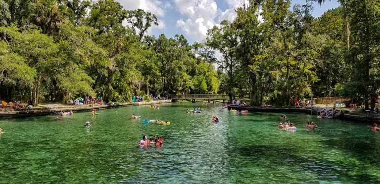 1280px Wekiwa Springs State Park July 2019 768x373