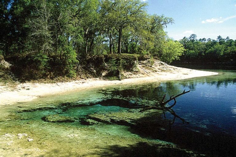 FlLittleRiverSpring 768x510