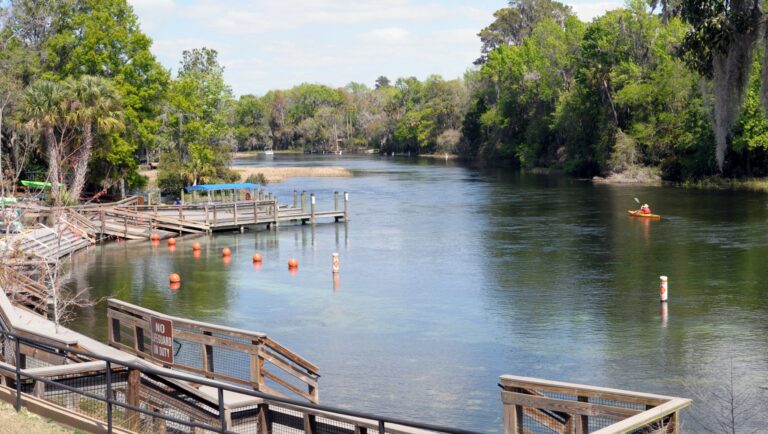 KP Hole Park 1 768x434