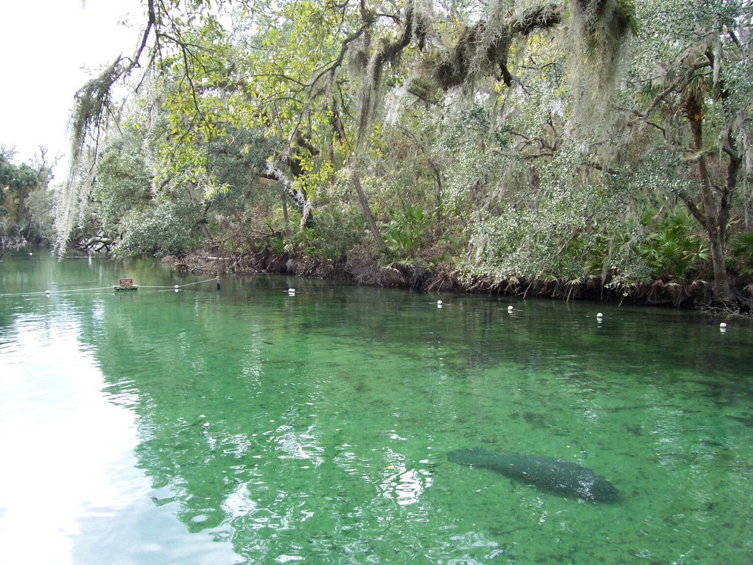 DeLeon Springs - VisitFloridaSprings.org