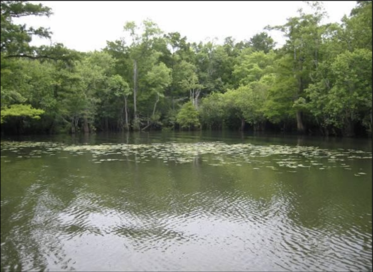 Millers Ferry Spring 768x561