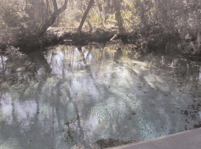 Sweetwater Springs 768x569