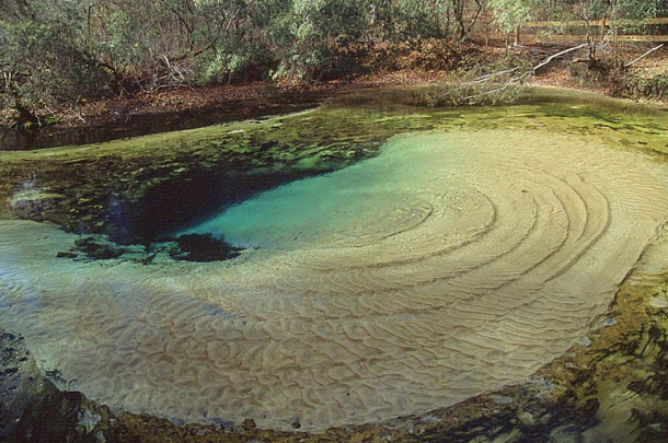 Williford Spring